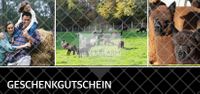 Gutschein Hoff&uuml;hrung B&uuml;hlertal Alpakas