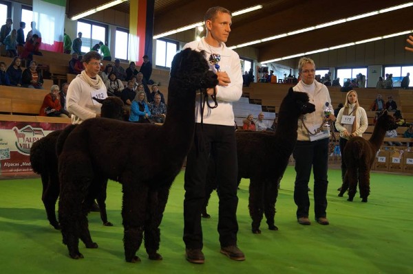 Inca Ferrari Color Champion 2014 in Buchlohe Inca Ferrari Color Champion 2014 in Buchlohe