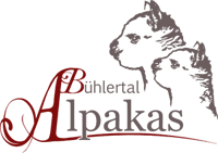bellapaca