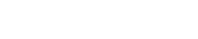 aktuelle Fohlen